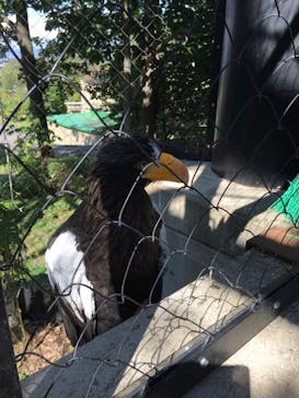 旭川市旭山動物園に投稿された画像（2020/9/21）