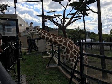 旭川市旭山動物園に投稿された画像（2020/9/21）
