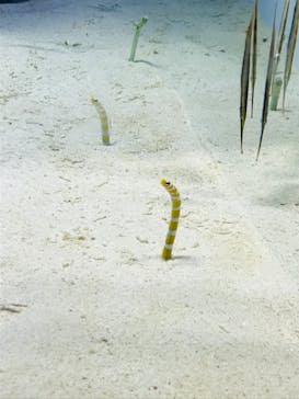 アクアワールド茨城県大洗水族館に投稿された画像（2020/9/21）