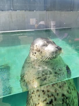 株式会社Gに投稿された画像（2020/9/21）