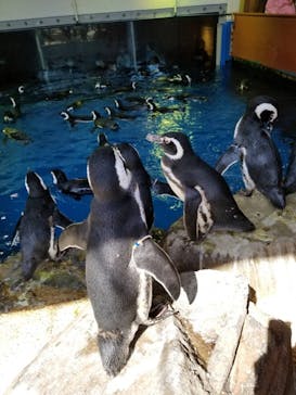 株式会社Gに投稿された画像（2020/9/21）