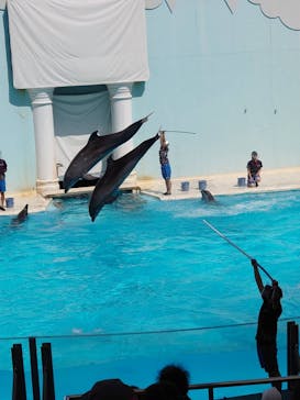 株式会社Gに投稿された画像（2020/9/21）