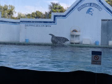 しながわ水族館に投稿された画像（2020/9/21）