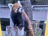 天王寺動物園に投稿された画像（2020/9/21）