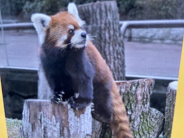 天王寺動物園に投稿された画像（2020/9/21）