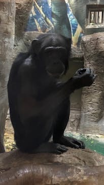 天王寺動物園に投稿された画像（2020/9/21）