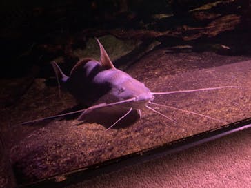 サンシャイン水族館に投稿された画像（2020/9/21）