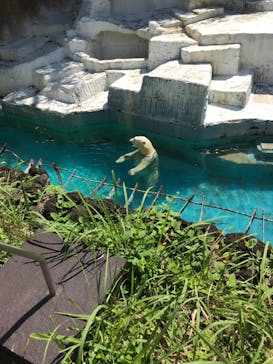 天王寺動物園に投稿された画像（2020/9/21）