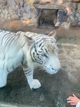 東武動物公園に投稿された画像（2020/9/21）