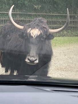 那須サファリパークに投稿された画像（2020/9/21）