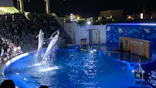 仙台うみの杜水族館に投稿された画像（2020/9/21）