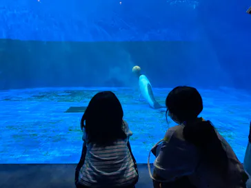 仙台うみの杜水族館に投稿された画像（2020/9/21）