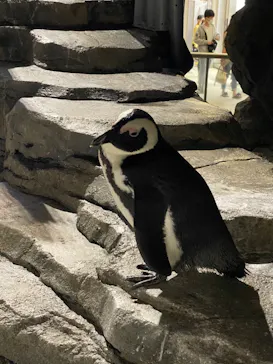 仙台うみの杜水族館に投稿された画像（2020/9/21）