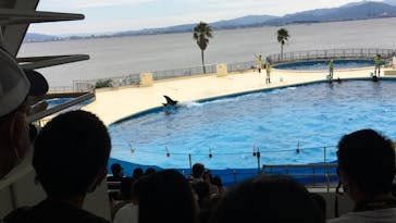 マリンワールド海の中道に投稿された画像（2020/9/21）