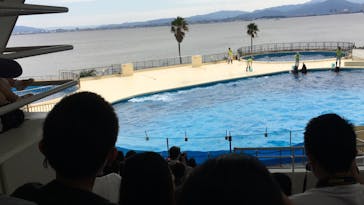 マリンワールド海の中道に投稿された画像（2020/9/21）