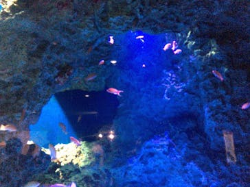 マリンワールド海の中道に投稿された画像（2020/9/21）