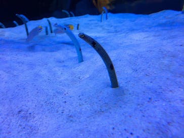 マリンワールド海の中道に投稿された画像（2020/9/21）