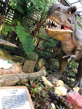 ナゴパイナップルパークに投稿された画像（2020/9/21）