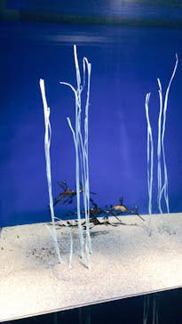 サンシャイン水族館に投稿された画像（2020/9/21）