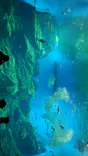 仙台うみの杜水族館に投稿された画像（2020/9/21）
