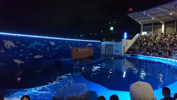 仙台うみの杜水族館に投稿された画像（2020/9/21）
