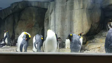仙台うみの杜水族館に投稿された画像（2020/9/21）