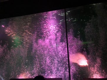 南知多ビーチランド＆南知多おもちゃ王国に投稿された画像（2020/9/21）