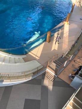 横浜・八景島シーパラダイスに投稿された画像（2020/9/21）