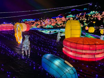 伊豆ぐらんぱる公園に投稿された画像（2020/9/21）