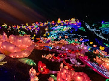 伊豆ぐらんぱる公園に投稿された画像（2020/9/21）