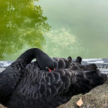 天王寺動物園に投稿された画像（2020/9/21）