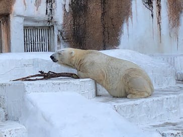 天王寺動物園に投稿された画像（2020/9/21）