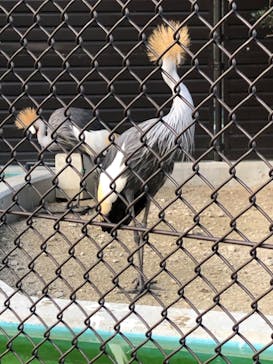 天王寺動物園に投稿された画像（2020/9/21）