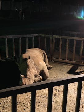 那須サファリパークに投稿された画像（2020/9/21）