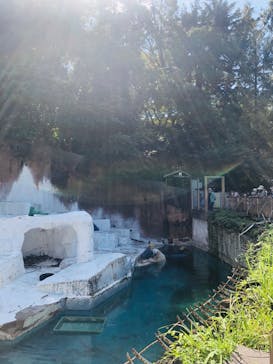 天王寺動物園に投稿された画像（2020/9/21）