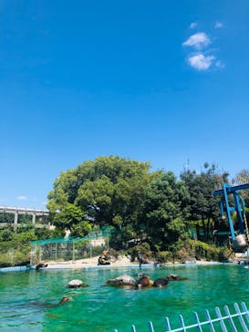 天王寺動物園に投稿された画像（2020/9/21）