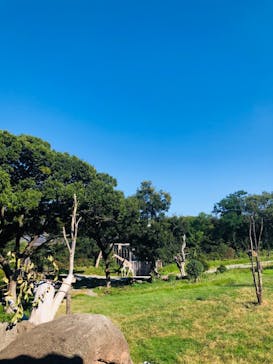 天王寺動物園に投稿された画像（2020/9/21）