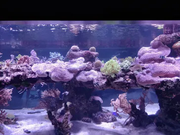 すみだ水族館に投稿された画像（2020/9/21）