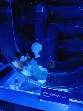 すみだ水族館に投稿された画像（2020/9/21）