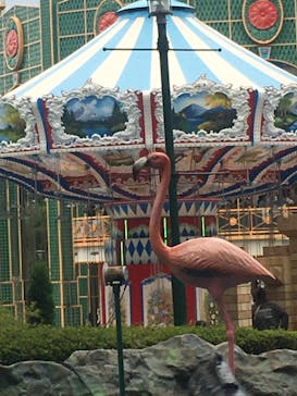 那須ハイランドパークに投稿された画像（2020/9/21）