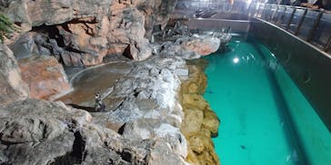 アクアワールド茨城県大洗水族館に投稿された画像（2020/9/21）