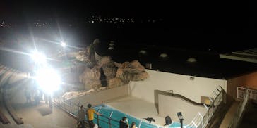 アクアワールド茨城県大洗水族館に投稿された画像（2020/9/21）