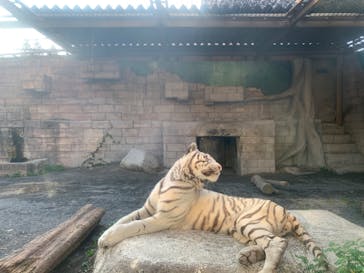 東武動物公園に投稿された画像（2020/9/21）