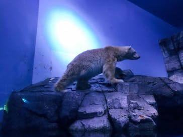 横浜・八景島シーパラダイスに投稿された画像（2020/9/21）