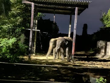 群馬サファリパークに投稿された画像（2020/9/21）