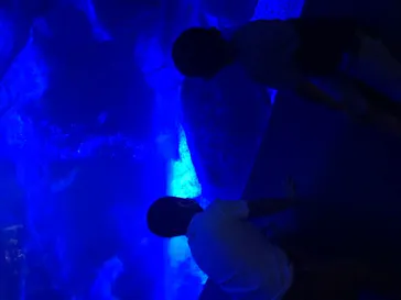 すみだ水族館に投稿された画像（2020/9/21）