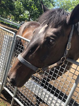 ノーザンホースパークに投稿された画像（2020/9/21）