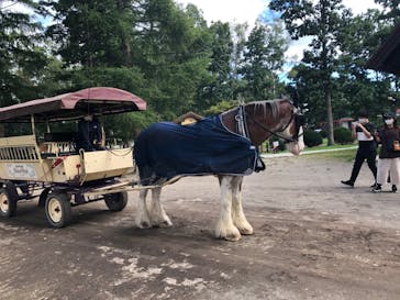 ノーザンホースパークに投稿された画像（2020/9/21）