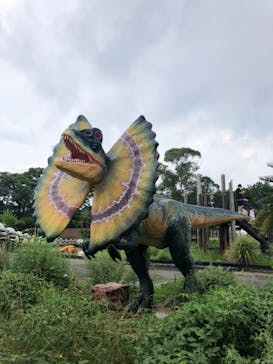 伊豆ぐらんぱる公園に投稿された画像（2020/9/21）