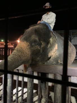 那須サファリパークに投稿された画像（2020/9/22）